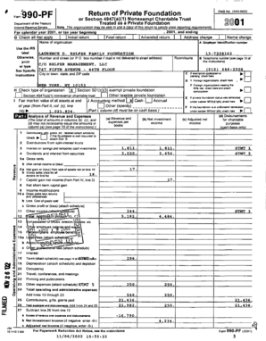 IRS Form 990-PF 2001