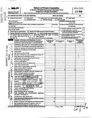 Form 990-PF 2010