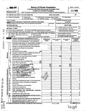 IRS Form 990-PF 2010