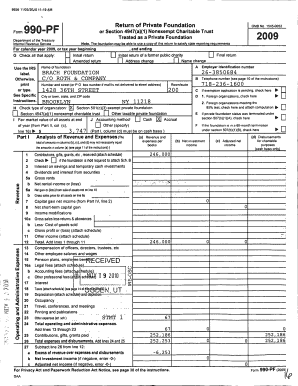 IRS Form 990-PF 2009