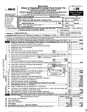 Form 990-EZ Tax Return
