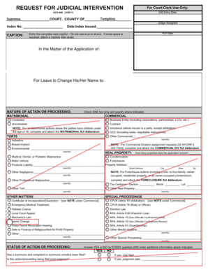 Request for Judicial Intervention Form