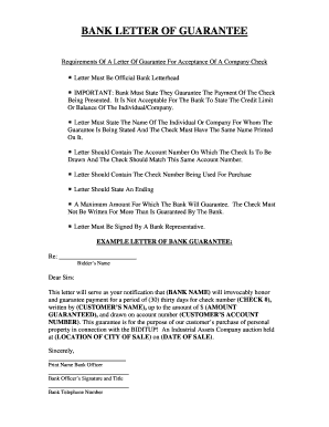 Bank Letter of Guarantee