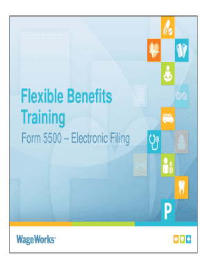 IRS Form 5500 Electronic Filing