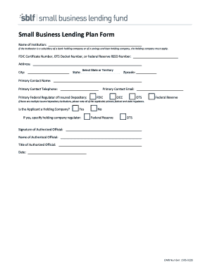 Small Business Lending Plan Form