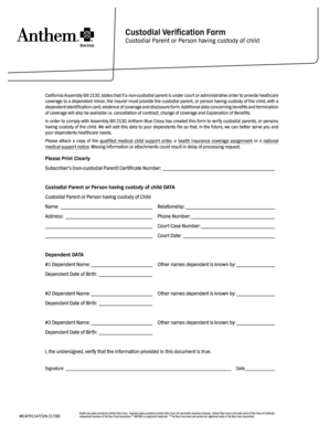 Custodial Verification Form