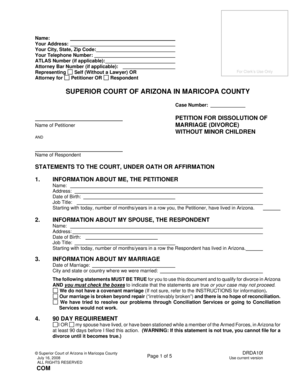 Arizona Divorce Petition Without Minor Children