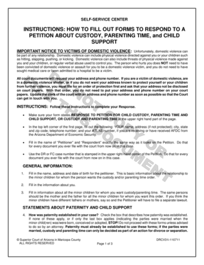 Response to Petition for Child Custody, Parenting Time, and Child Support