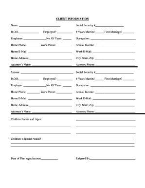 Divorce Financial Information Form