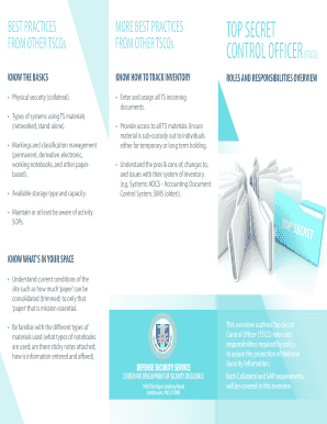 Mentoring Log Template - Fill Online, Printable, Fillable, Blank ...