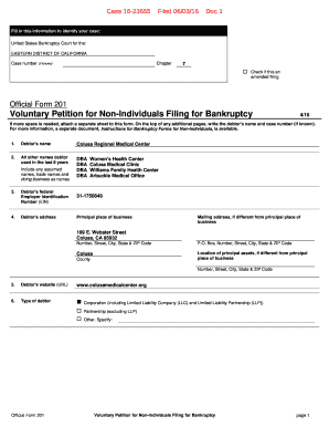 Insolvency petition format pdf - Official Form 201 Voluntary Petition for Non-Individuals ...