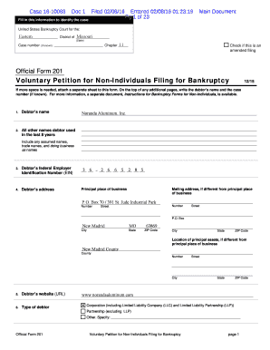 Bankruptcy paperwork - Official Form 201 Voluntary Petition for Non-Individuals ...