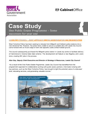 Case Study Word Template
