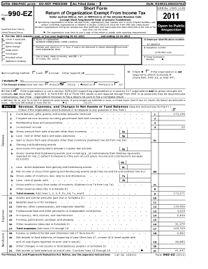 Fillable Online All other organizations with gross receipts less than ...