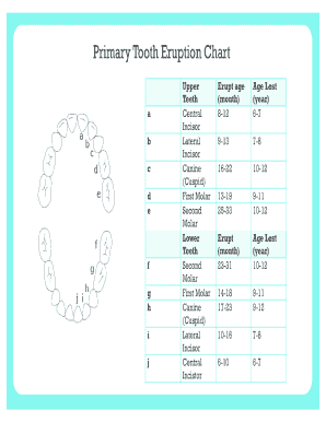 Fillable Online Primary Tooth Eruption Chart Fax Email Print - pdfFiller
