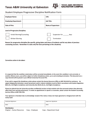 progressive discipline forms template