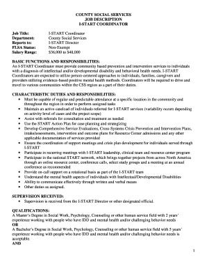 COUNTY SOCIAL SERVICES JOB DESCRIPTION I-START COORDINATOR ... - winneshiekcounty