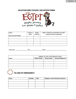 Fillable Online saintlukeparish VACATION BIBLE SCHOOL VOLUNTEER FORM ...