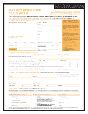 Form preview picture