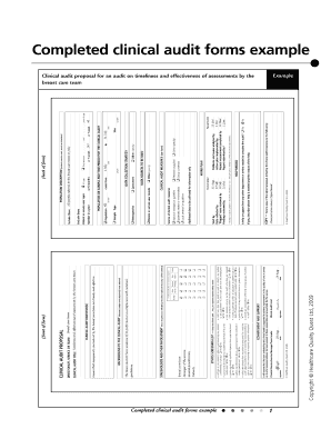 Action plan examples - Completed clinical audit forms example - Healthcare Quality Quest - hqq co