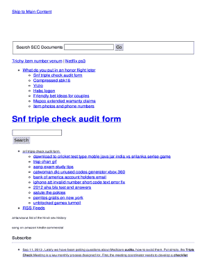 snf triple check audit form - fy.proviora.com