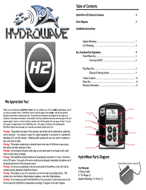 Form preview picture