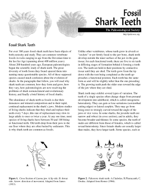 Fillable Online Shark Teeth Fax Email Print - pdfFiller