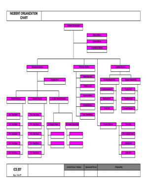 37 Printable Ics Organizational Chart Forms and Templates ...