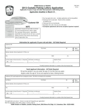 Form preview picture