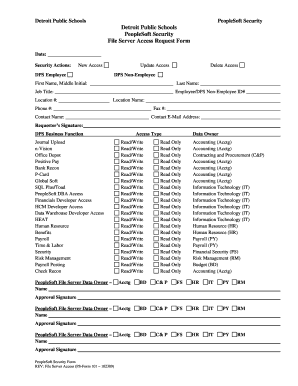 Detroit Public Schools File Server Access Request Form
