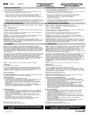 Non-Resident Firearm Declaration