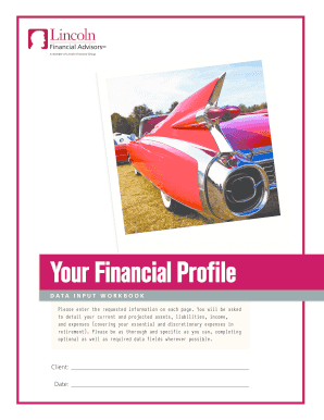 Your Financial Profile Data Input Workbook