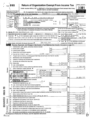 IRS Form 990 2001