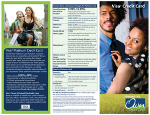 Visa Platinum Card Application