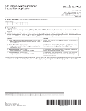 Charles Schwab Margin and Option Application