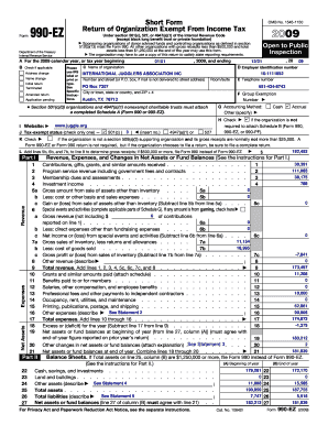 Form 990-EZ 2009