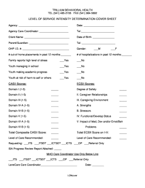 Level of Service Intensity Determination Cover Sheet