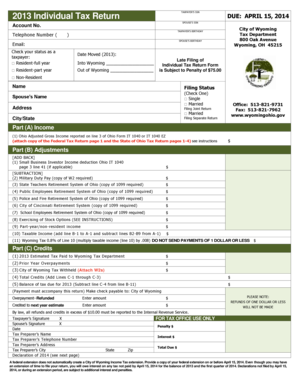 2013 Individual Tax Return
