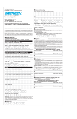 Bank of New York New Account Application