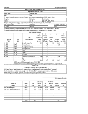 Form preview picture