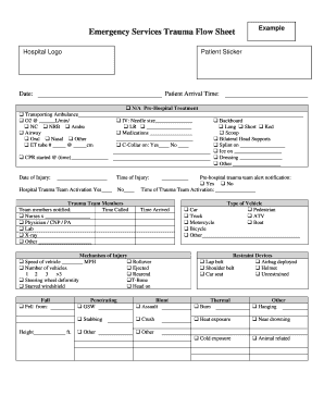 Form preview picture