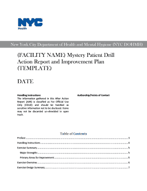 Aar template word - New York City Department of Health and Mental Hygiene (NYC DOHMH)