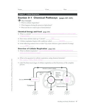 Developmental milestones pdf download - cellular respiration