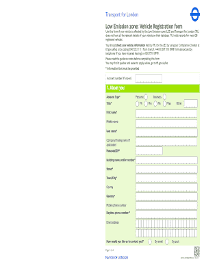 Form preview picture