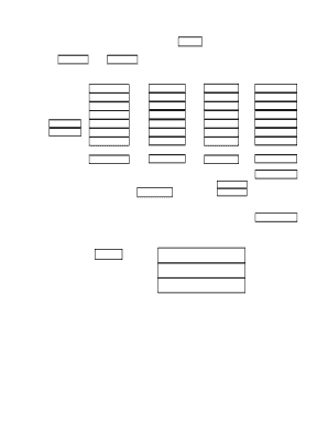 Diabetic log book by mail - District Audit Form.xlsx - pavfwaux