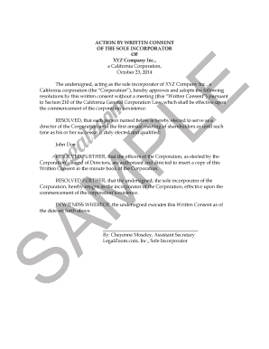 OF THE SOLE INCORPORATOR