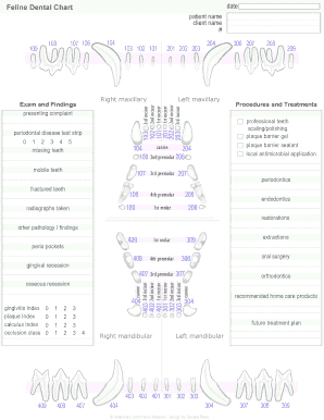 Feline Dental Chart