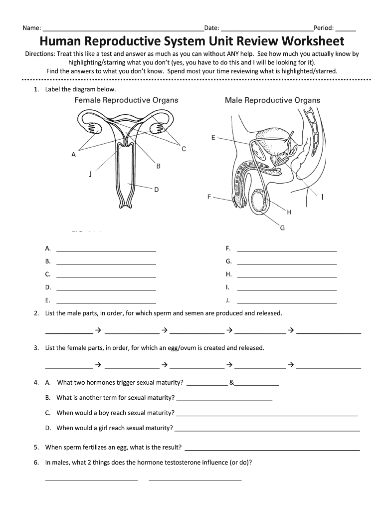 Human Reproduction Worksheet Answer Key - Fill Online, Printable For The Female Reproductive System Worksheet