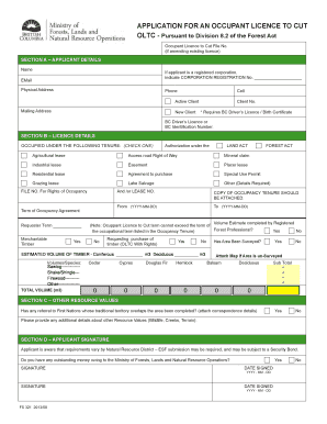 Form preview picture