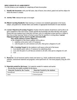 mini lesson template